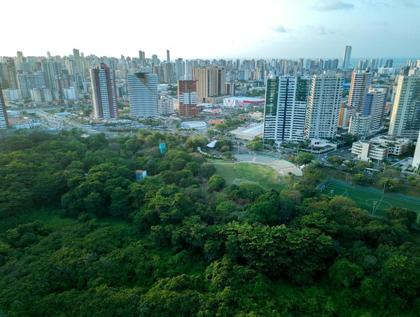 Découverte du piano droit kawai k200 : un équilibre entre design, fiabilité et innovation